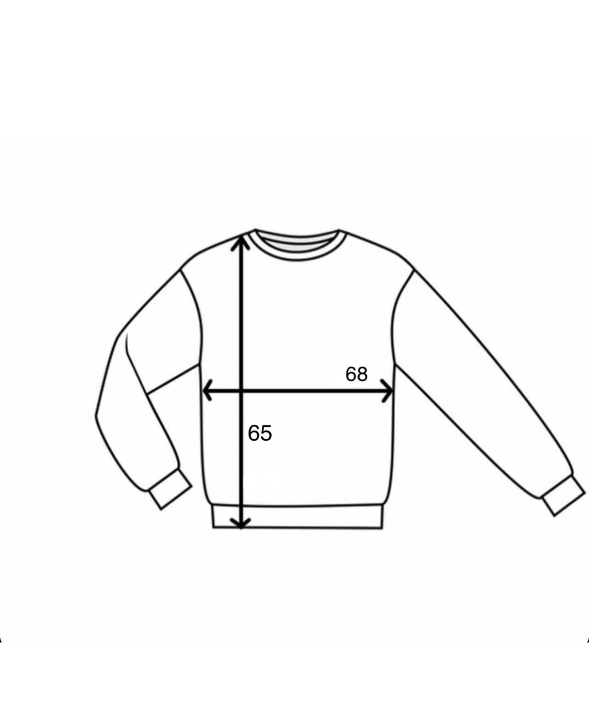 Sweatshirt Classic 1.0, Neon SS22CL_S _Neon фото